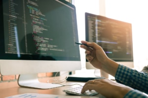 professional custom wordpress themes