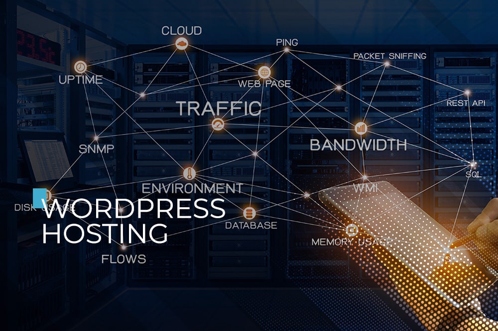 wordpress hosting minnesota