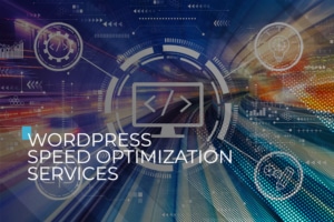 wordpress speed optimization services