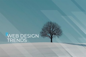web design trends near me