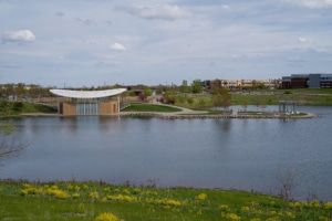 maple grove web design