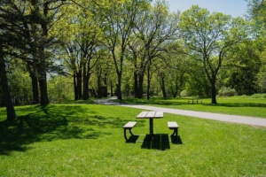 woodbury web design