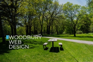 woodbury web design